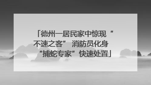 德州一居民家中惊现“不速之客” 消防员化身“捕蛇专家”快速处置