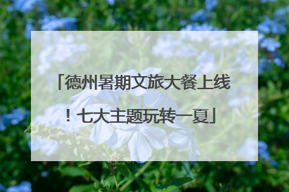 德州暑期文旅大餐上线！七大主题玩转一夏