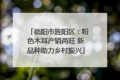 德阳市旌阳区：粉色木耳产销两旺 新品种助力乡村振兴