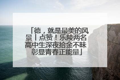 德，就是最美的风景丨点赞！乐陵两名高中生深夜拾金不昧 彰显青春正能量