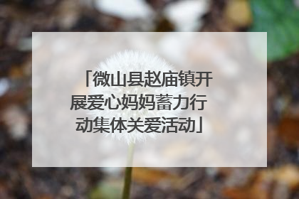 微山县赵庙镇开展爱心妈妈蓄力行动集体关爱活动