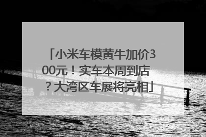 小米车模黄牛加价300元！实车本周到店？大湾区车展将亮相