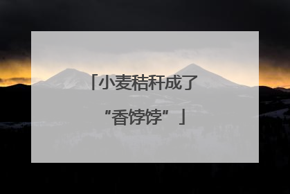 小麦秸秆成了“香饽饽”