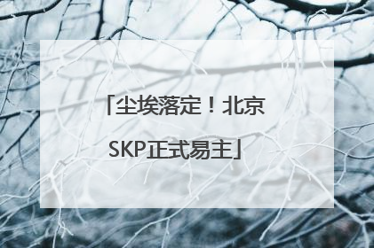 尘埃落定！北京SKP正式易主