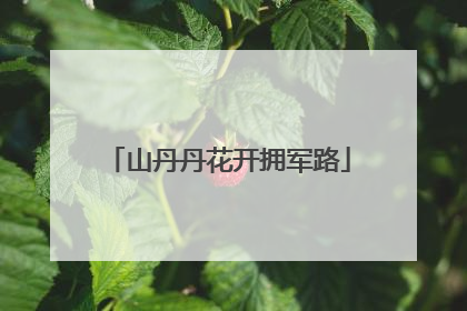 山丹丹花开拥军路