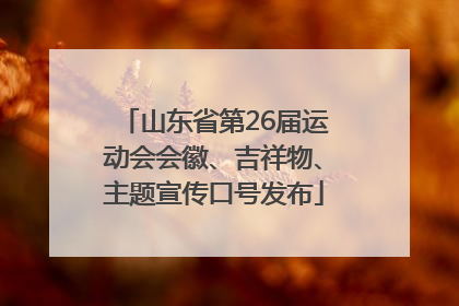山东省第26届运动会会徽、吉祥物、主题宣传口号发布