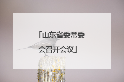 山东省委常委会召开会议