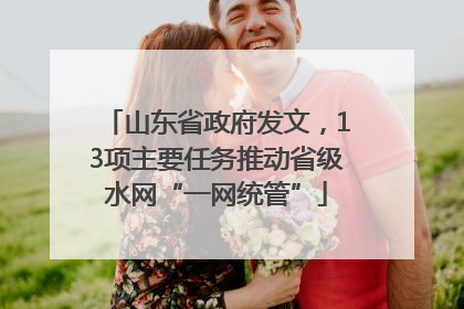 山东省政府发文，13项主要任务推动省级水网“一网统管”