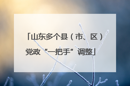 山东多个县（市、区）党政“一把手”调整