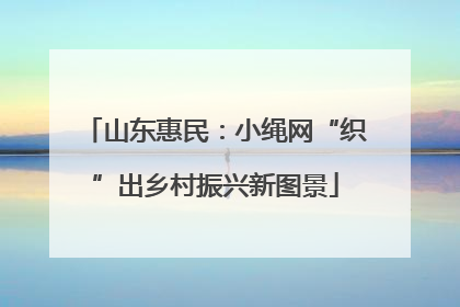 山东惠民：小绳网“织”出乡村振兴新图景