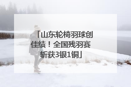山东轮椅羽球创佳绩！全国残羽赛斩获3银1铜