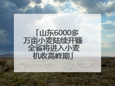 山东6000多万亩小麦陆续开镰 全省将进入小麦机收高峰期