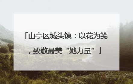 山亭区城头镇：以花为笺，致敬最美“她力量”