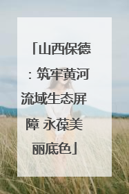 山西保德：筑牢黄河流域生态屏障 永葆美丽底色