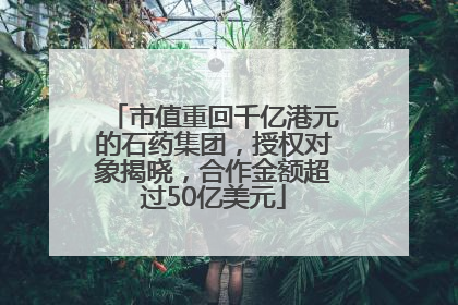 市值重回千亿港元的石药集团，授权对象揭晓，合作金额超过50亿美元