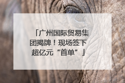 广州国际贸易集团揭牌！现场签下超亿元“首单”