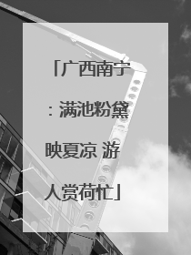 广西南宁：满池粉黛映夏凉 游人赏荷忙