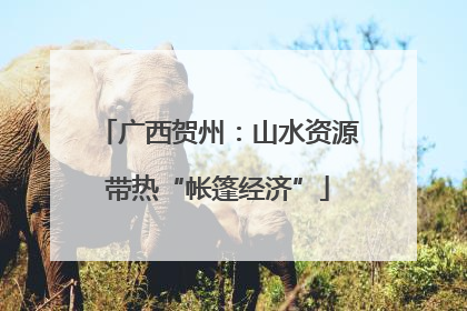 广西贺州：山水资源带热“帐篷经济”