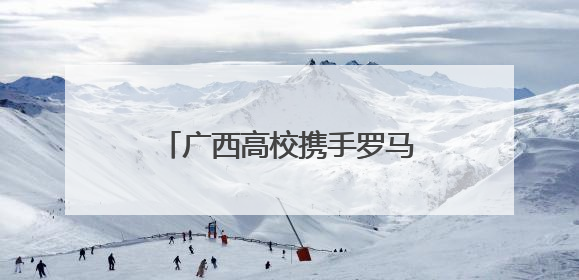 广西高校携手罗马大学推动建筑文化遗产数字化创新