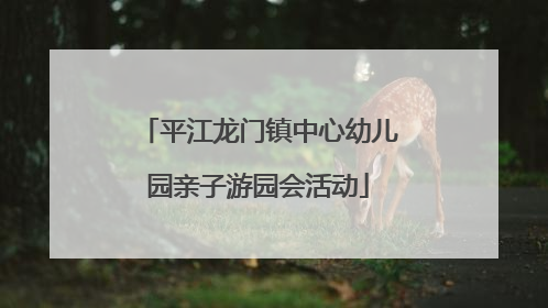 平江龙门镇中心幼儿园亲子游园会活动