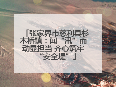 张家界市慈利县杉木桥镇：闻“汛”而动显担当 齐心筑牢“安全堤”