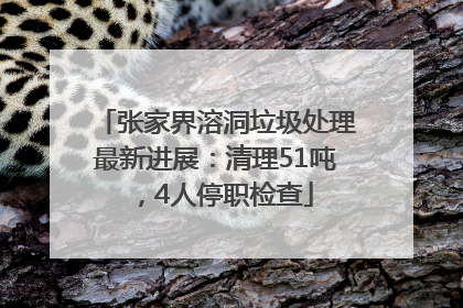 张家界溶洞垃圾处理最新进展：清理51吨，4人停职检查