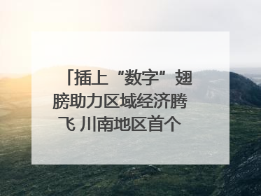 插上“数字”翅膀助力区域经济腾飞 川南地区首个智算中心启动