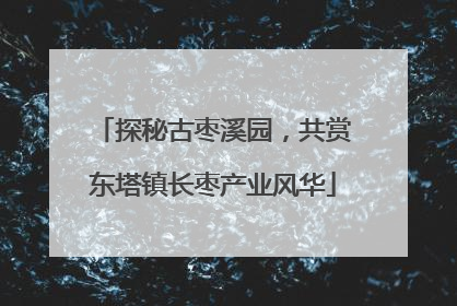 探秘古枣溪园，共赏东塔镇长枣产业风华