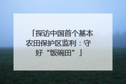 探访中国首个基本农田保护区监利：守好“饭碗田”