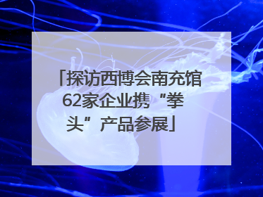 探访西博会南充馆 62家企业携“拳头”产品参展