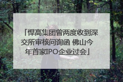 悍高集团曾两度收到深交所审核问询函 佛山今年首家IPO企业过会