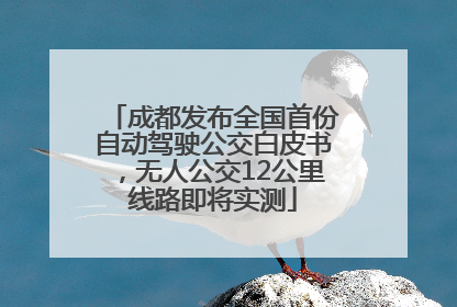 成都发布全国首份自动驾驶公交白皮书，无人公交12公里线路即将实测