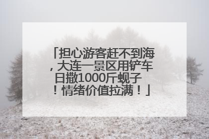 担心游客赶不到海，大连一景区用铲车日撒1000斤蚬子！情绪价值拉满！
