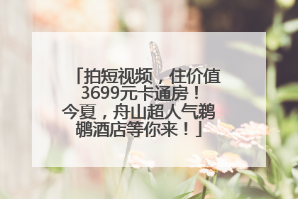 拍短视频，住价值3699元卡通房！今夏，舟山超人气鹈鹕酒店等你来！
