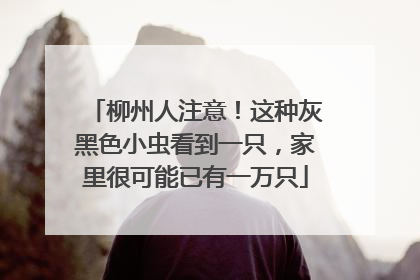 柳州人注意！这种灰黑色小虫看到一只，家里很可能已有一万只