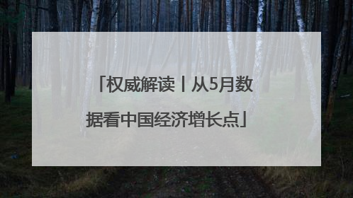 权威解读丨从5月数据看中国经济增长点
