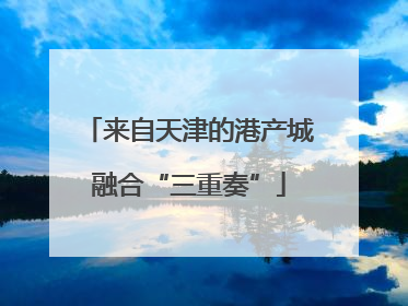 来自天津的港产城融合“三重奏”