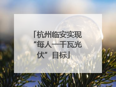 杭州临安实现“每人一千瓦光伏”目标