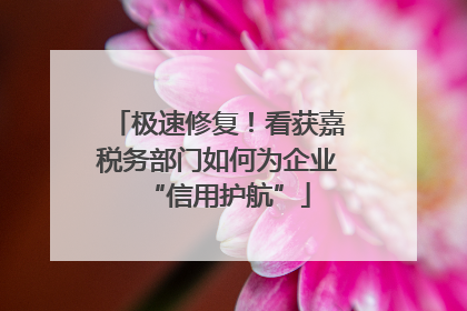 极速修复！看获嘉税务部门如何为企业“信用护航”