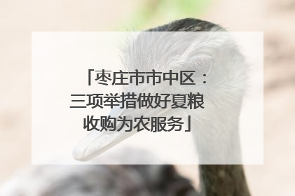 枣庄市市中区：三项举措做好夏粮收购为农服务