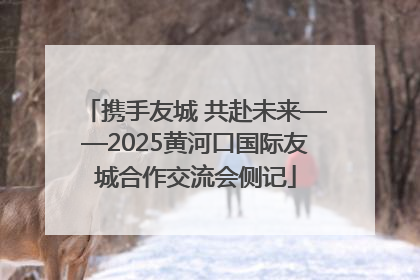 携手友城 共赴未来——2025黄河口国际友城合作交流会侧记