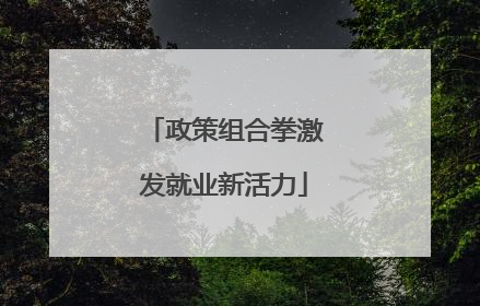 政策组合拳激发就业新活力