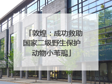 敦煌：成功救助国家二级野生保护动物小苇鳽