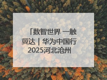 数智世界 一触冀达｜华为中国行2025河北沧州新质生产力峰会成功举办