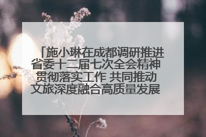 施小琳在成都调研推进省委十二届七次全会精神贯彻落实工作 共同推动文旅深度融合高质量发展 加快打造支柱产业民生产业幸福产业