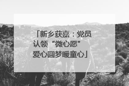 新乡获嘉：党员认领“微心愿” 爱心圆梦暖童心