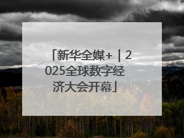 新华全媒+｜2025全球数字经济大会开幕