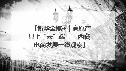 新华全媒+｜高原产品上“云”端——西藏电商发展一线观察