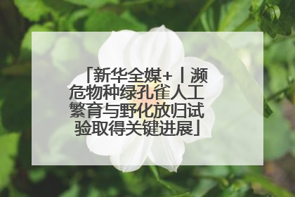 新华全媒+丨濒危物种绿孔雀人工繁育与野化放归试验取得关键进展