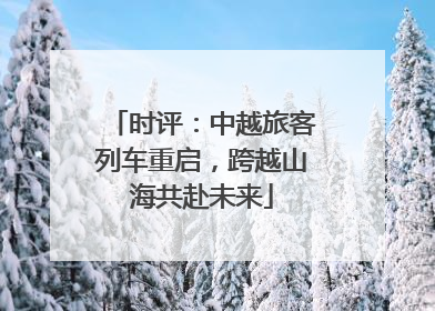 时评：中越旅客列车重启，跨越山海共赴未来